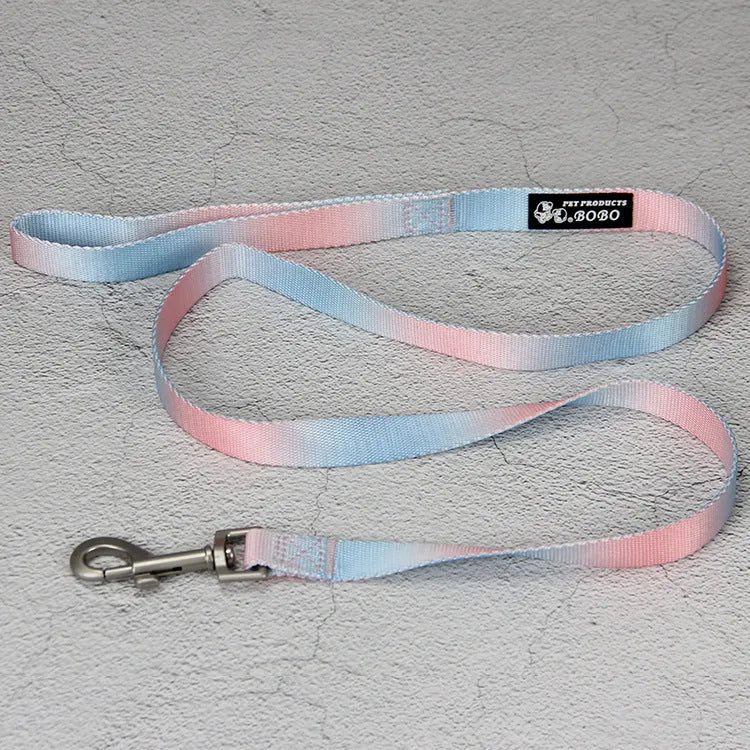 Gradient colour nylon dog leash set with collar, bracelet, and chest strap options in pink/yellow and purple/green combinations