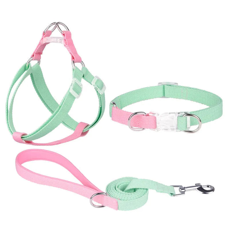 Polyester ribbon dog collar, lead, and chest strap set in a choice of five colour combinations