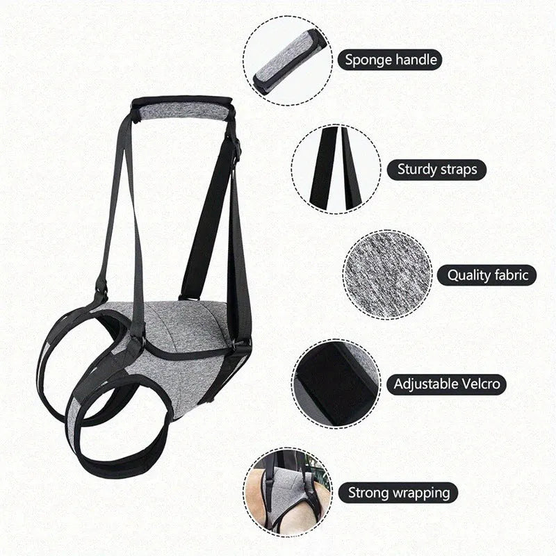 Grey neoprene dog rear leg recovery support belt shown on a size chart.