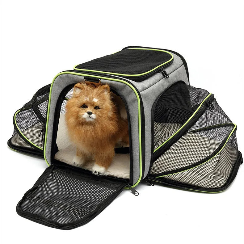 600D cationic polyester cat carrier bag in black with red piping, medium-soft construction