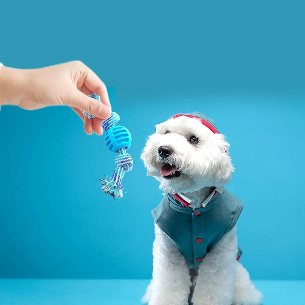 Blue molar-shaped dog chew toy with white ropes for teeth cleaning