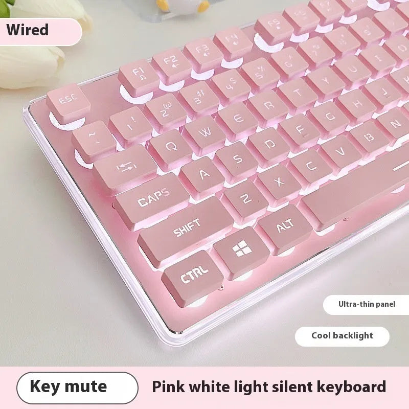 Wired computer keyboard with mute button and blue backlighting on a desk