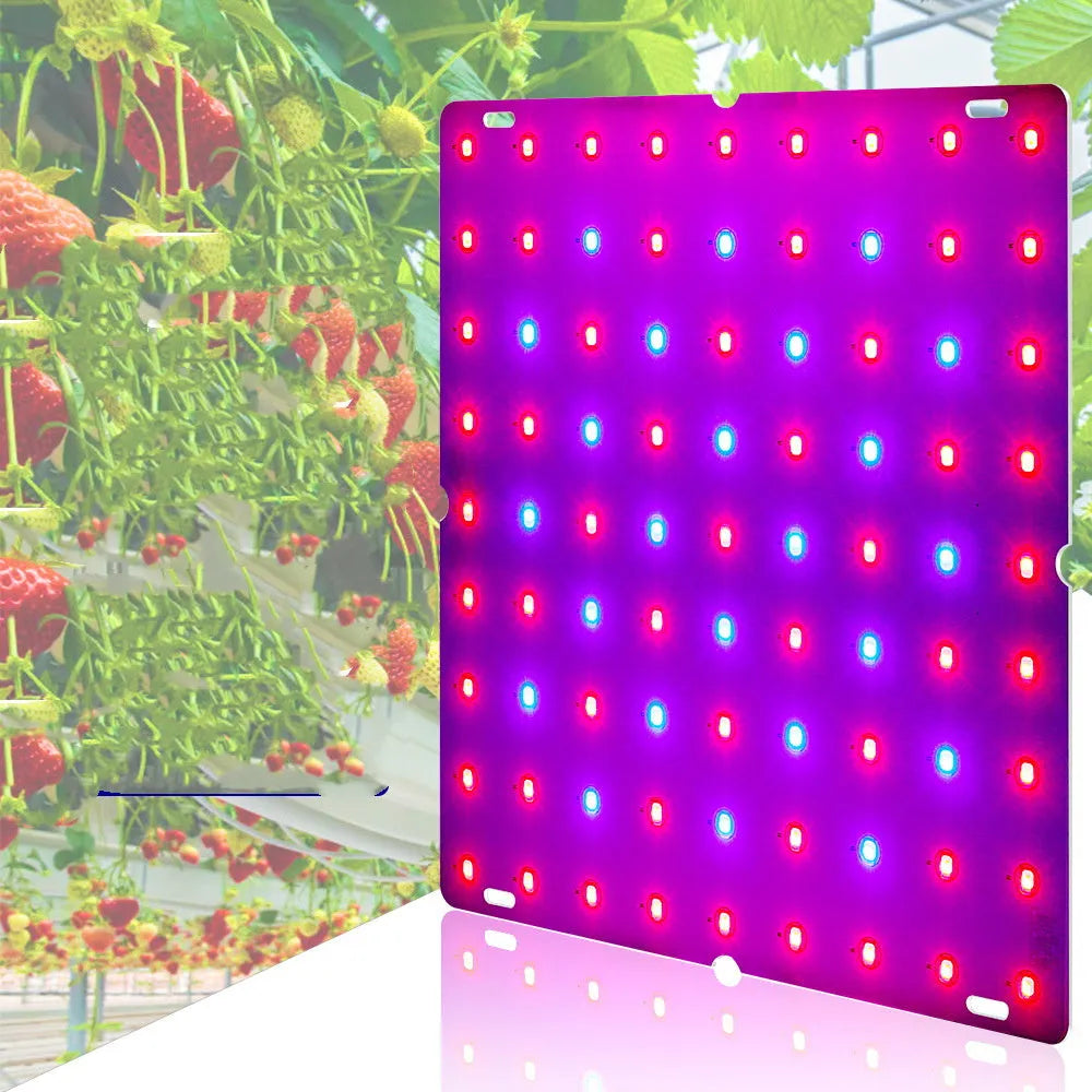 D-section bare board LED plant growing light with hook for indoor fruits and vegetables.