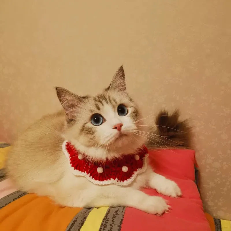 Handmade milk cotton knitted pet collar with cartoon pattern, shown in customisable sizes for small animals.