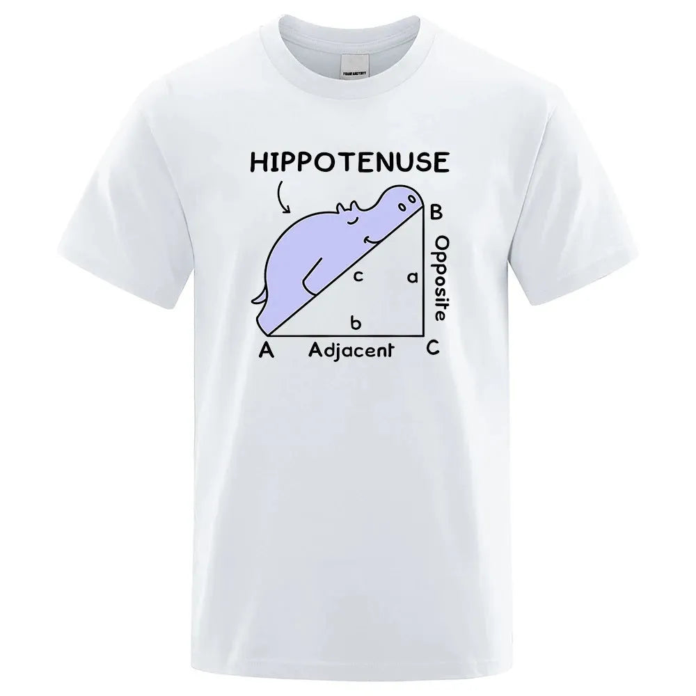 Front view of white cotton t-shirt with black 'Hippotenuse Opposite Adjacent' maths humour print in loose fit style