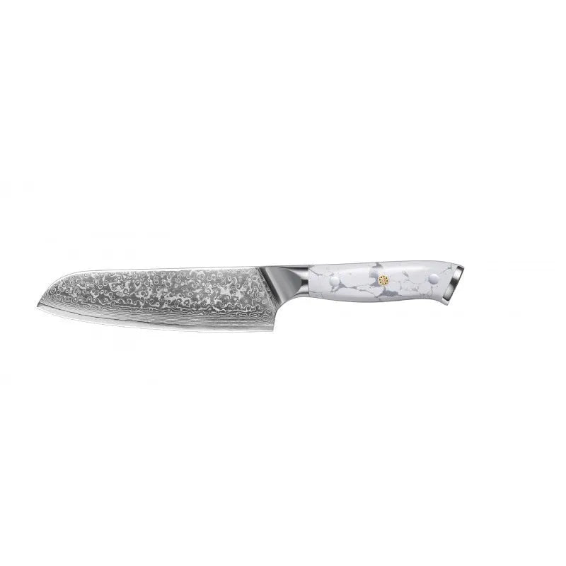 Damascus pattern chef's knife with 21cm VG10 steel blade and dark handle on a wooden surface.