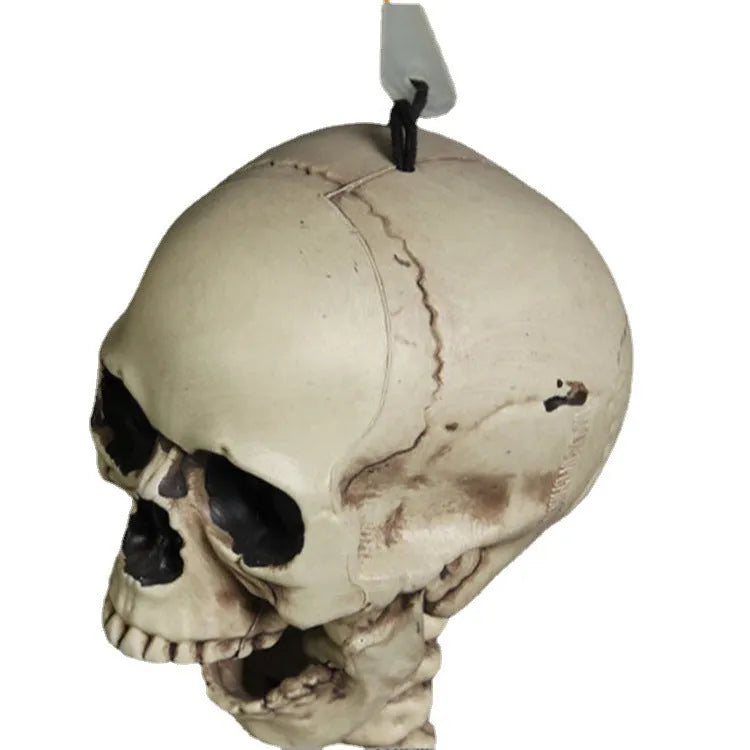 170cm tall white plastic human skeleton prop with articulated joints for posing