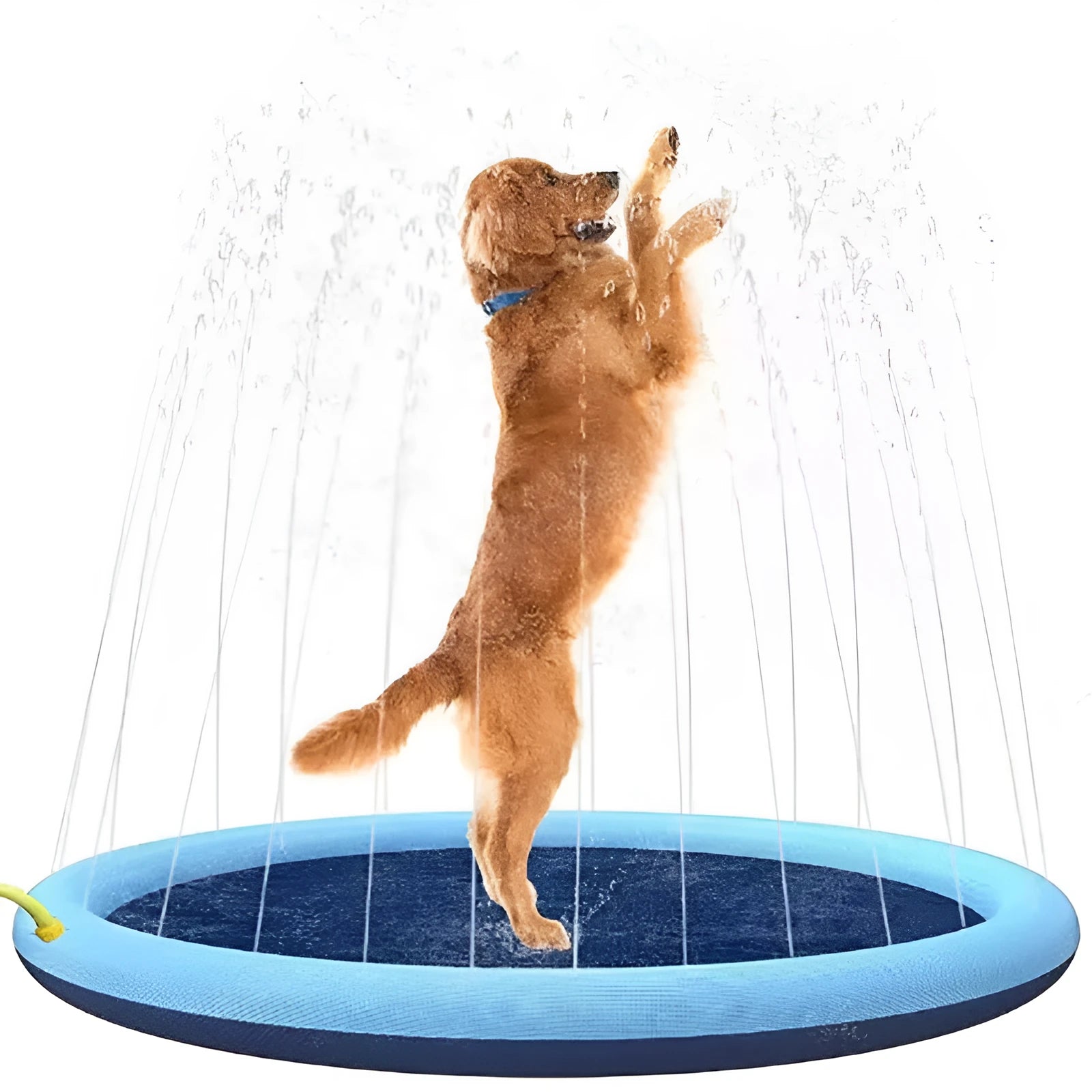 Large blue dog splash pad with water jets spraying, dog playing in centre on non-slip textured surface
