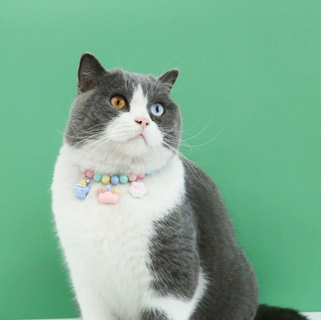 Colourful macaron pet collar with resin beads in six designs and adjustable sizing for small animals