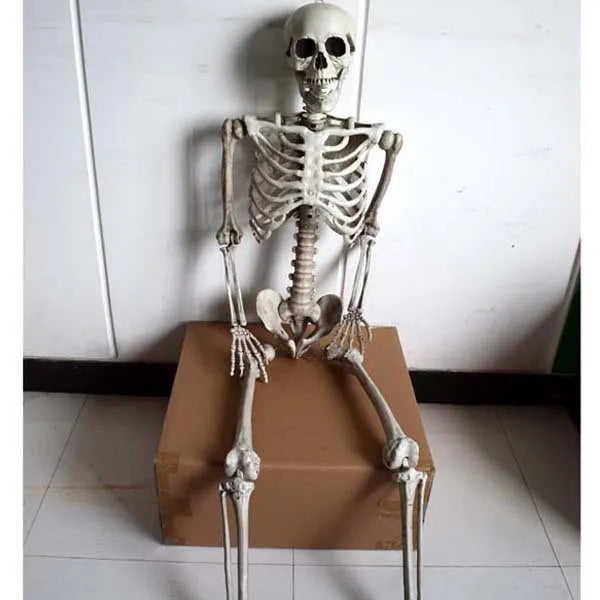 170cm tall white plastic human skeleton prop with articulated joints for posing
