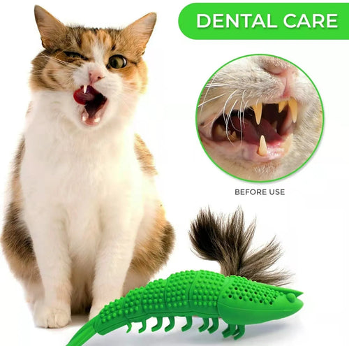 Blue hard rubber catnip toy with teeth cleaning texture and bell for interactive feline dental play