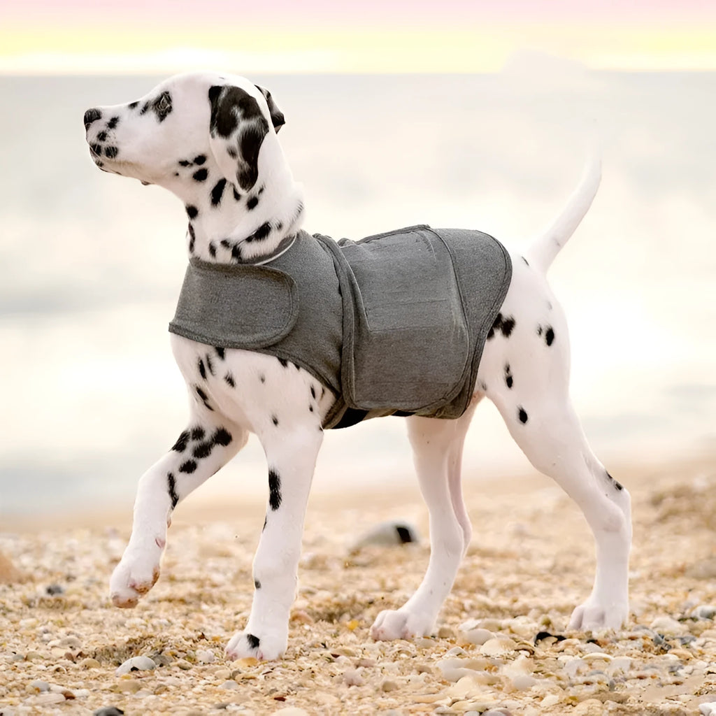 Heather Grey brocade cotton dog anxiety jacket and warm vest shown on a model, sized for dogs from under 4kg to over 50kg.