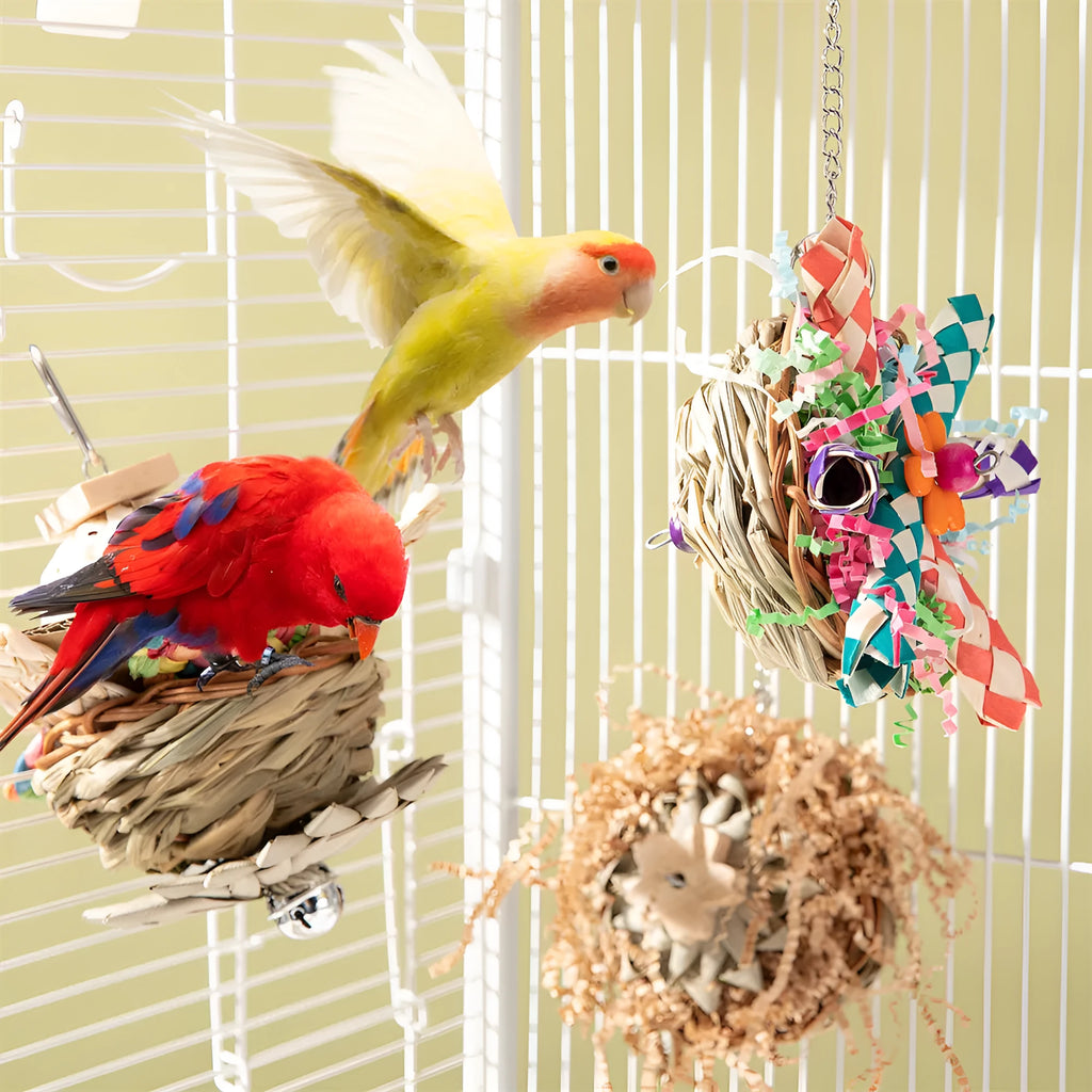 Parrot chewing toy with colourful plastic components and metal hanging chain for cage attachment