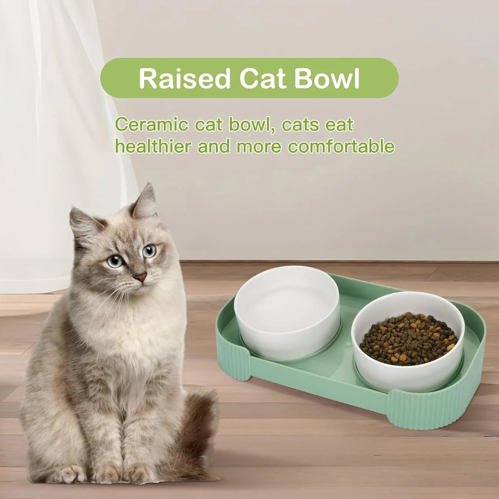 Green ceramic elevated cat bowls with 15-degree tilted stand and non-slip base