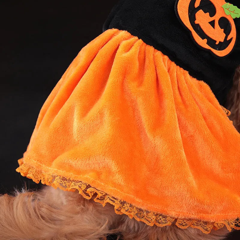 Halloween pumpkin skirt and sweater pet costumes in crystal velvet for dogs and cats