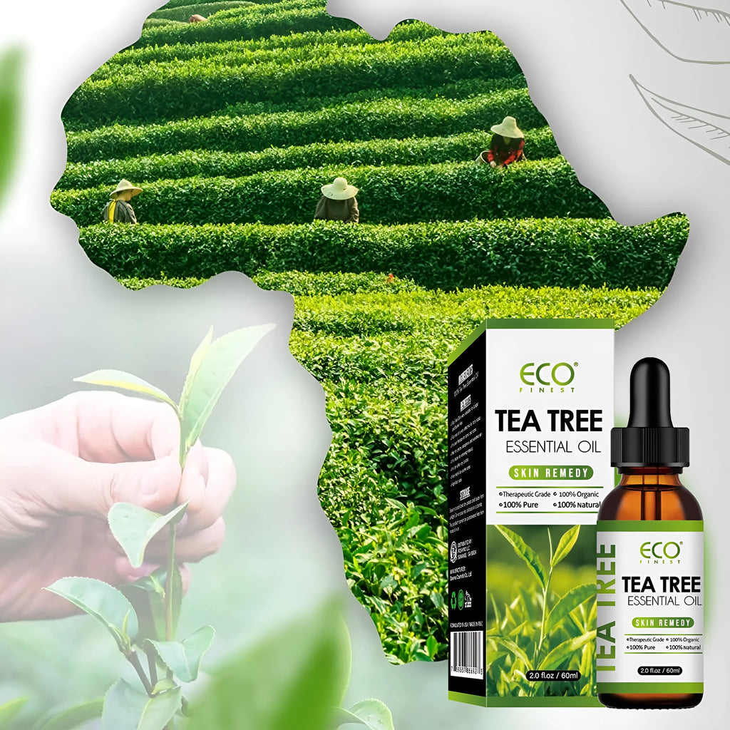 60ml glass bottle of tea tree essential massage oil for facial and skincare treatment.