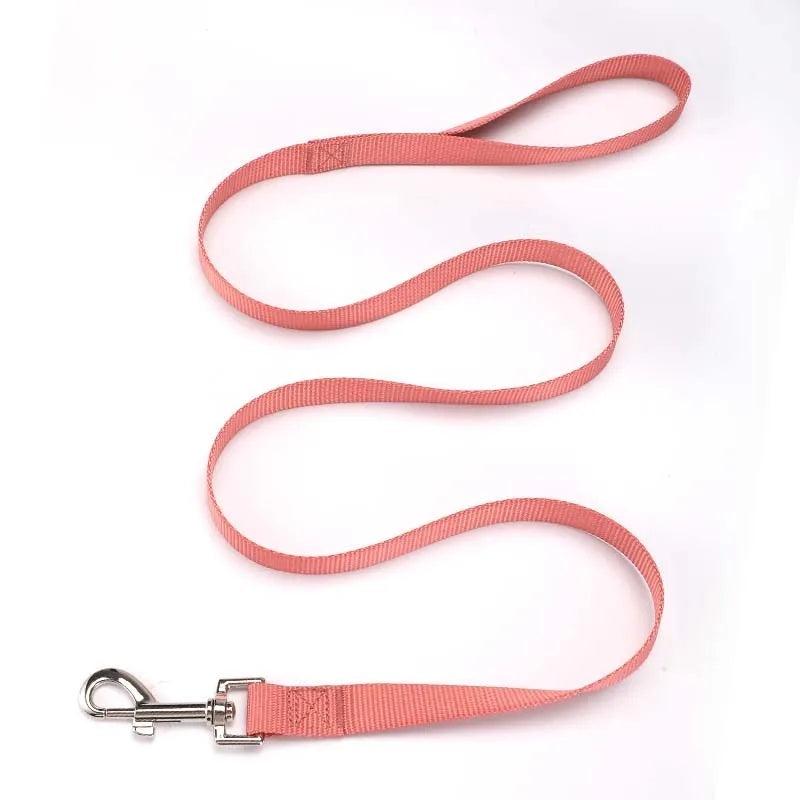 Solid colour nylon dog rope leash showing four width options and multiple colour choices for pet control