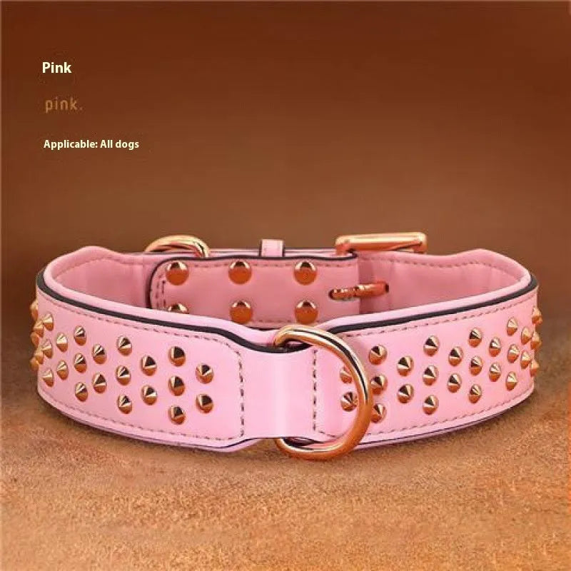 Leather dog collar in chocolate colour with visible rivets, shown on a large dog.