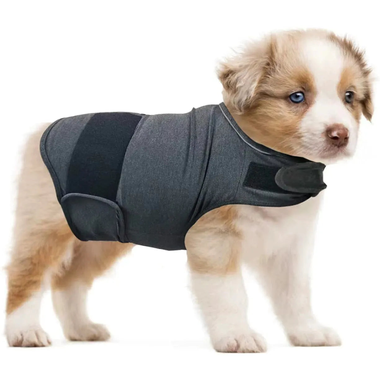 Dog wearing brocade cotton ponte de roma calming vest for separation anxiety in tank top style