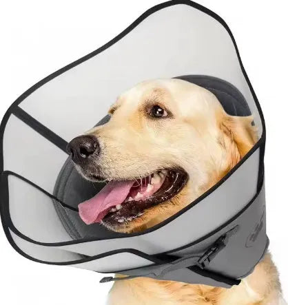 Adjustable polyester recovery collar for dogs and cats, shown in single and double-layer styles.