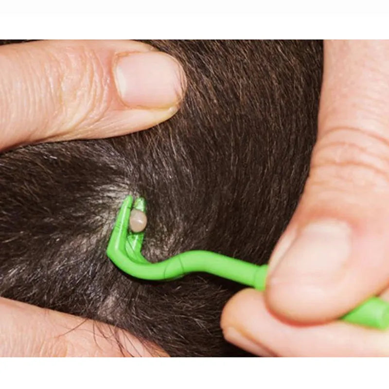 Three plastic pet tick removal hooks in blue or green colours
