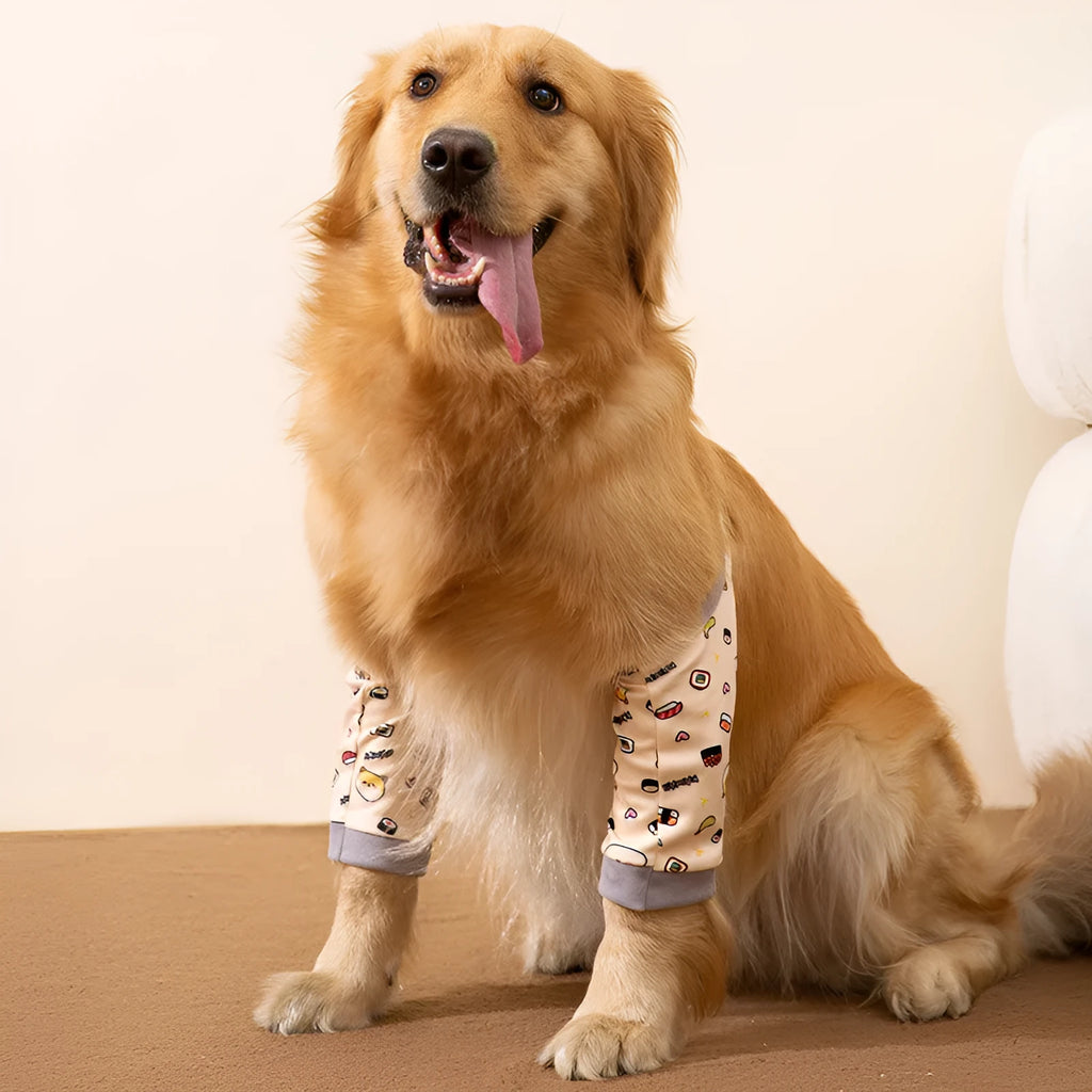 Blue dog elbow support wrap with extra padding and matching scarf on medium-sized dog