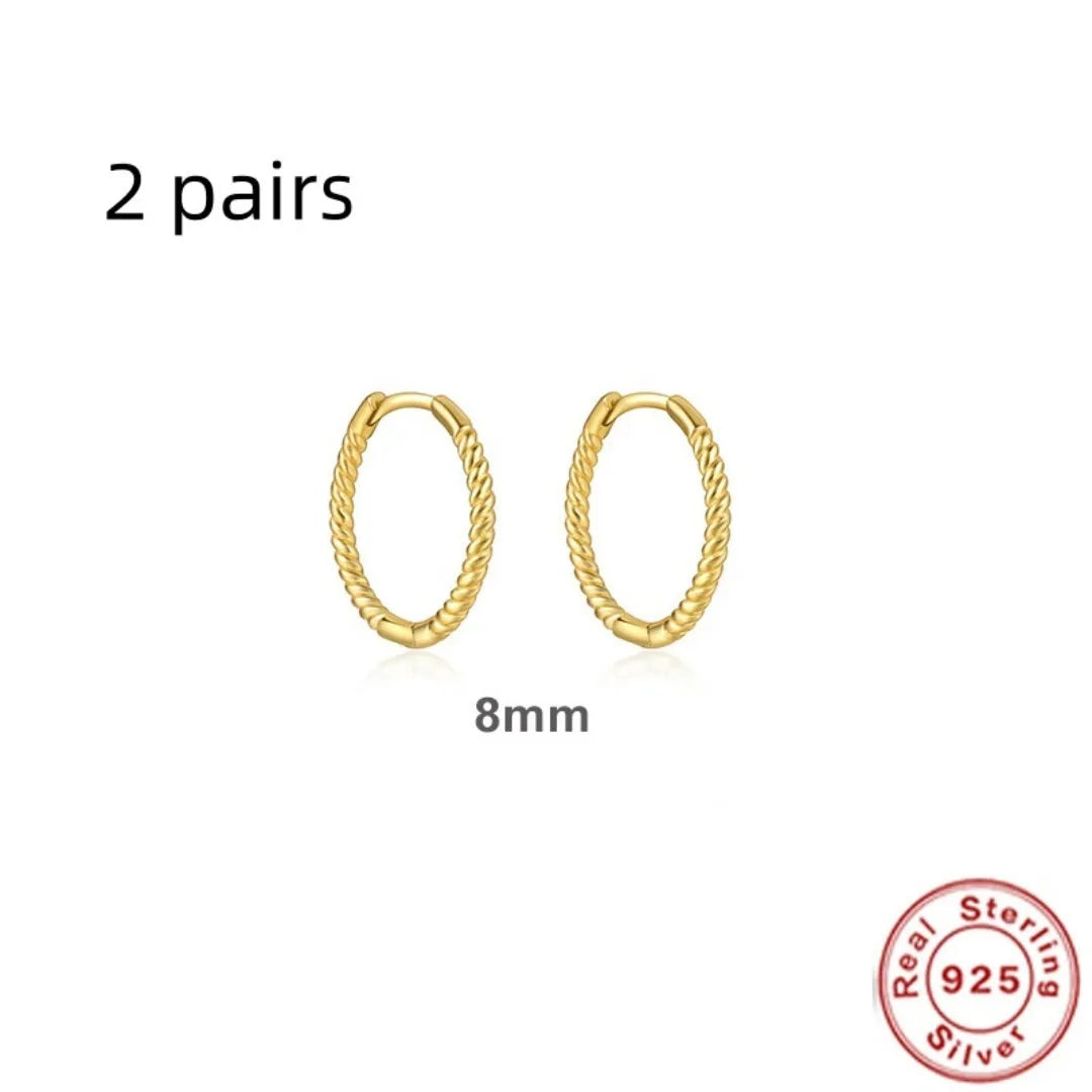 S925 sterling silver twisted string round ring geometric earrings for women on a white background.