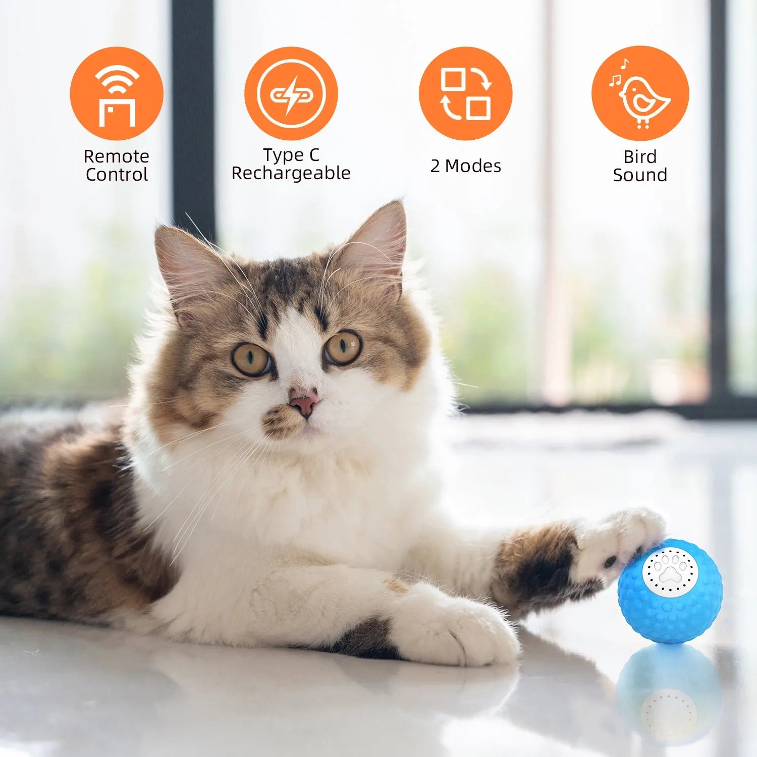 Remote control and a blue interactive cat ball toy on a wooden floor.