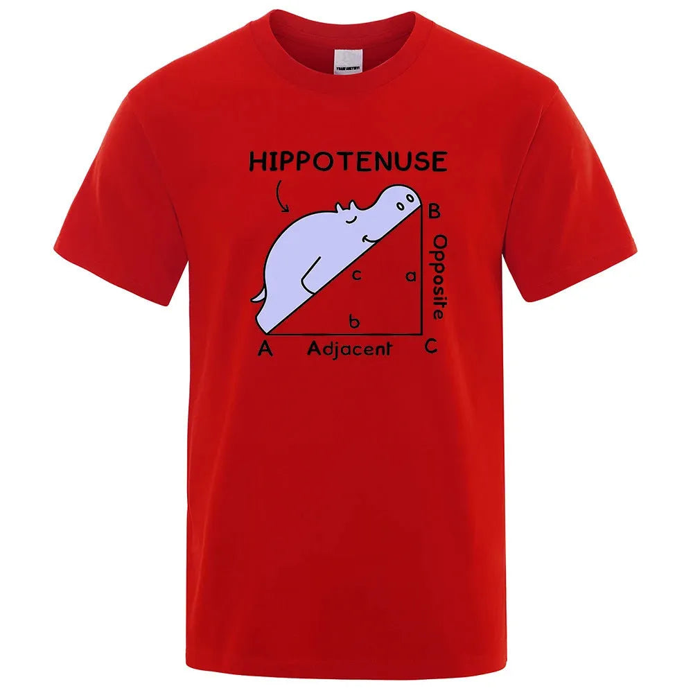 Front view of white cotton t-shirt with black 'Hippotenuse Opposite Adjacent' maths humour print in loose fit style