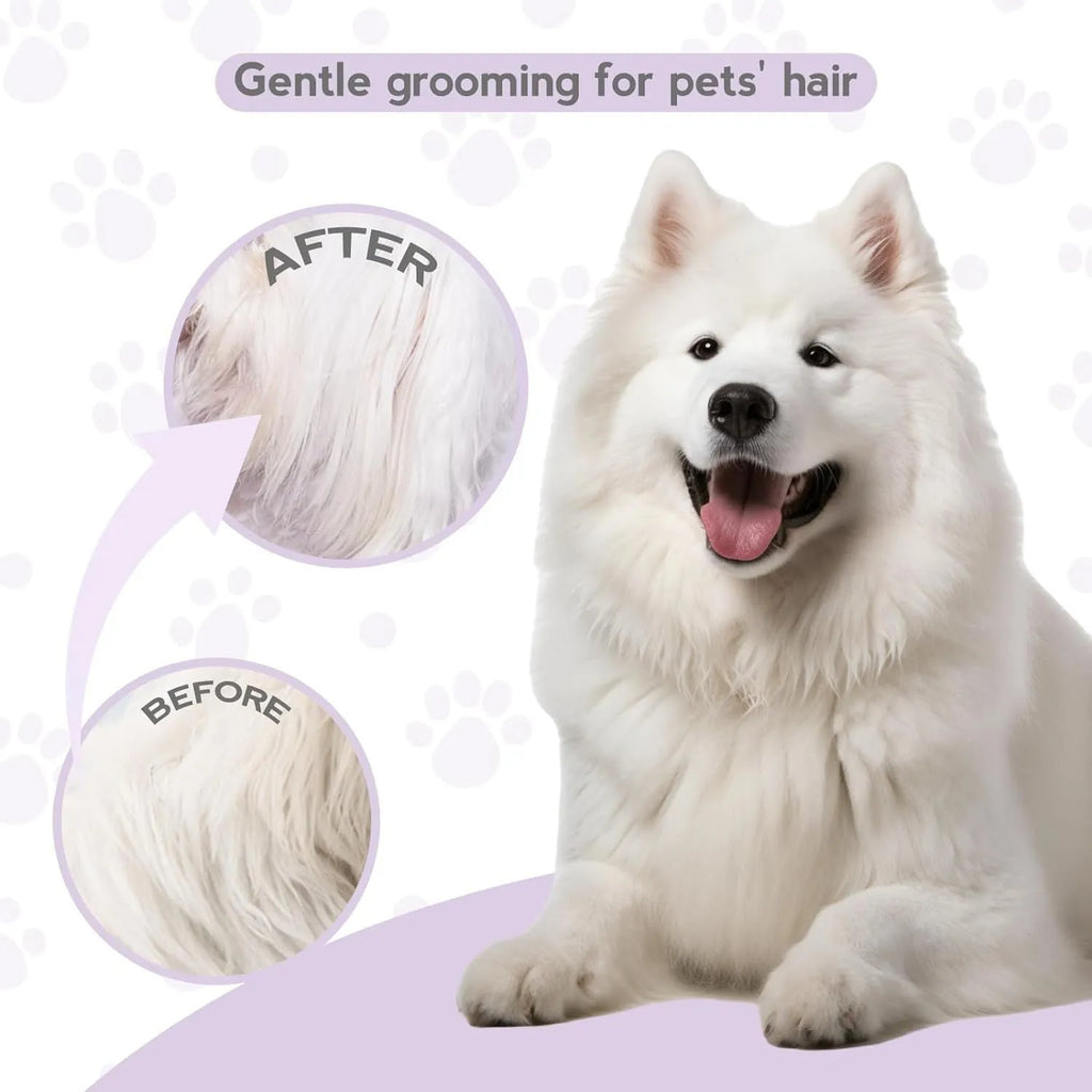 Purple pet detangling comb with stainless steel teeth and ergonomic handle.