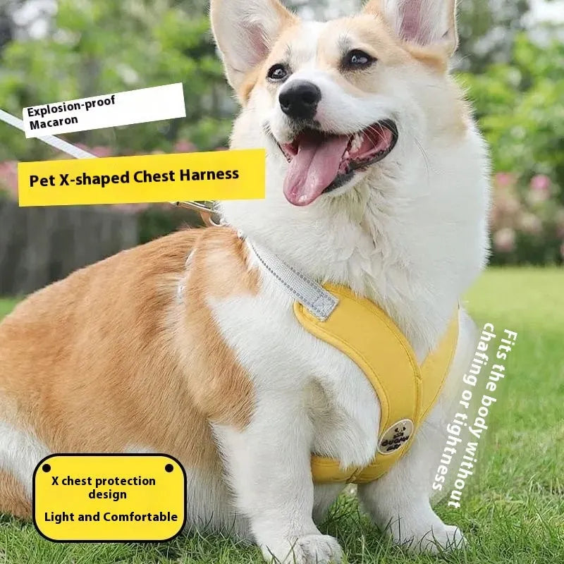 Blue polyester dog vest harness with an attached hand-held rope for walking.