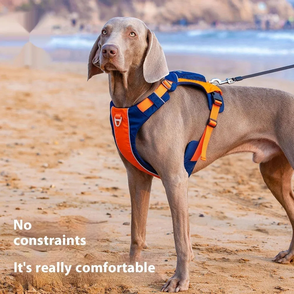 Orange blue nylon dog chest strap vest with hand rope leash, adjustable for secure walking