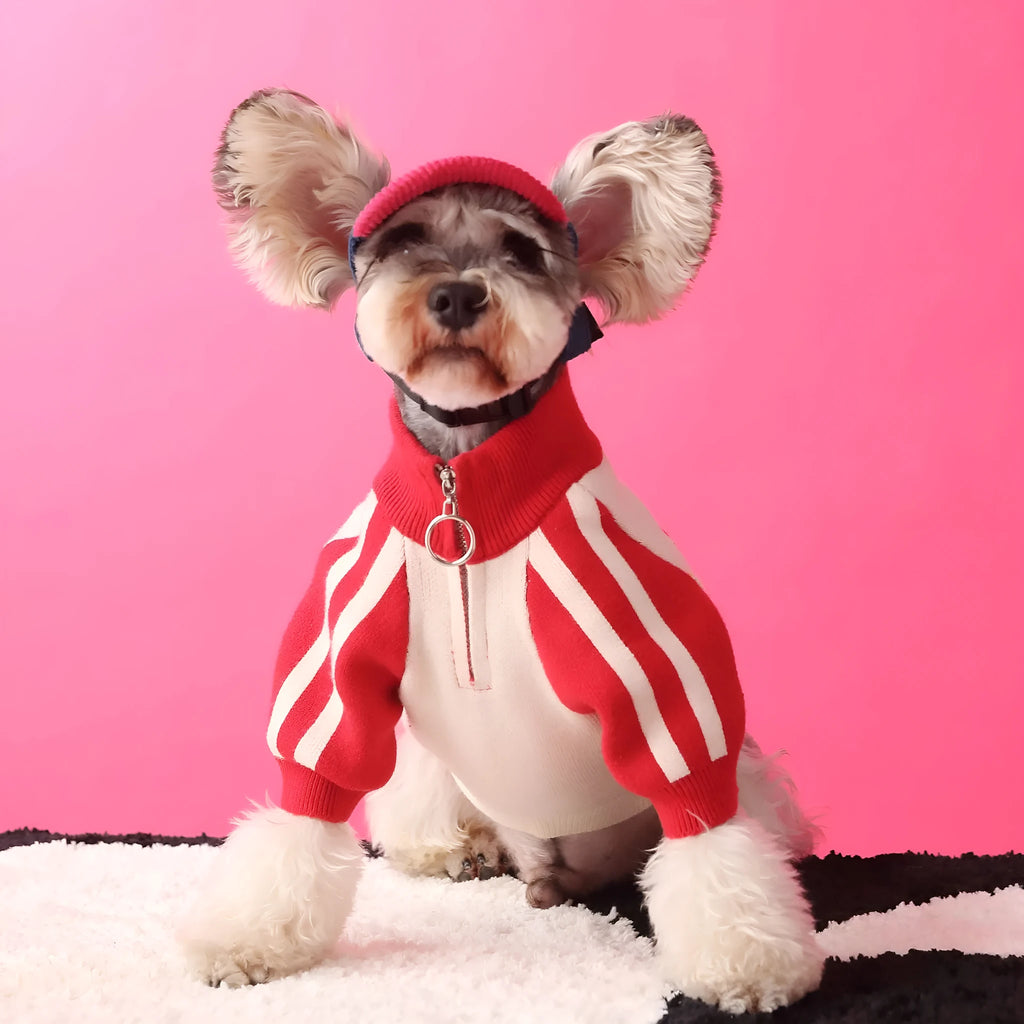 Red dog sports sweater cardigan on canine model showing wool fabric and front-opening design