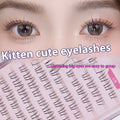 Kitten's paw design false eyelashes on a white background, showing 12 rows and pointed 4-6mm length.