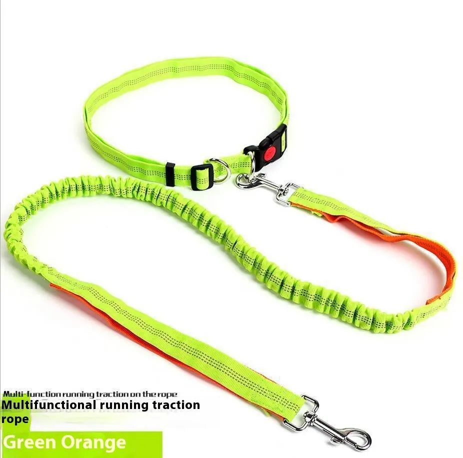 Grey and blue reflective nylon dog leash with elastic sling section for outdoor running.