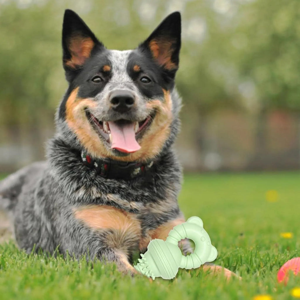 Blue rubber bell-shaped dog chew toy with textured surface for teeth cleaning