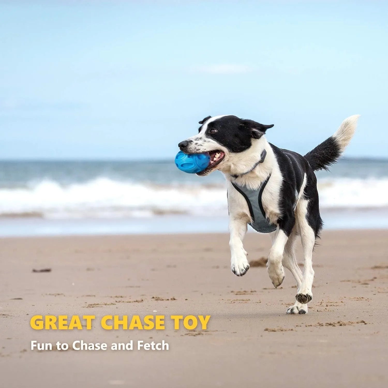 Blue natural rubber squeaky dog chew ball with surface grooves for medium and large breed dogs