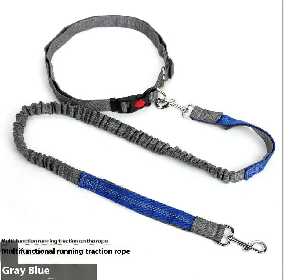 Grey and blue reflective nylon dog leash with elastic sling section for outdoor running.