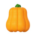 Orange pumpkin-shaped plastic dog toy with textured surface and rope attachment for chewing and fetch games