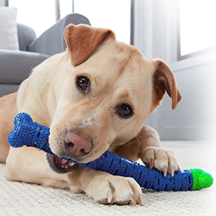 Blue and green dog dental chew toy with brush head texture and massage nodules, 25cm long