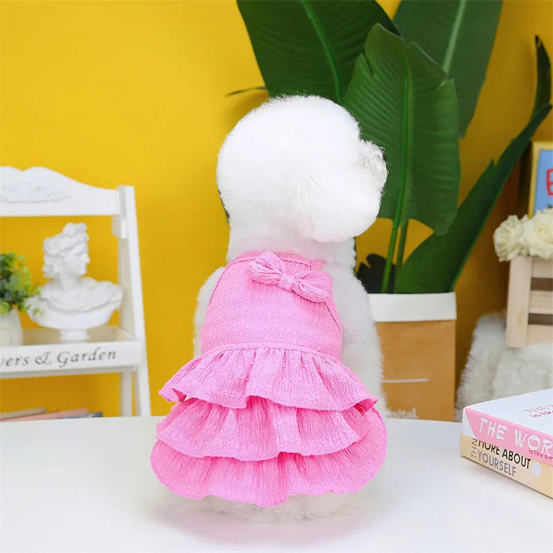 Small dog wearing a layered skirt princess dress in a candy colour.