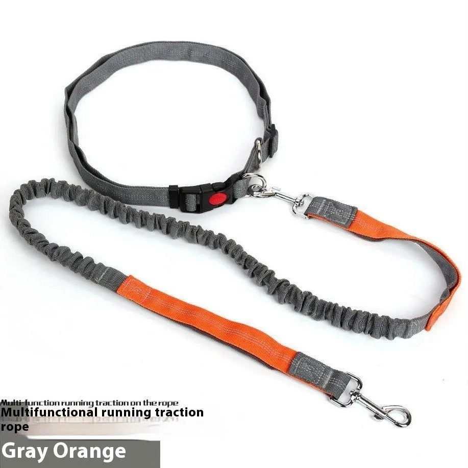 Grey and blue reflective nylon dog leash with elastic sling section for outdoor running.