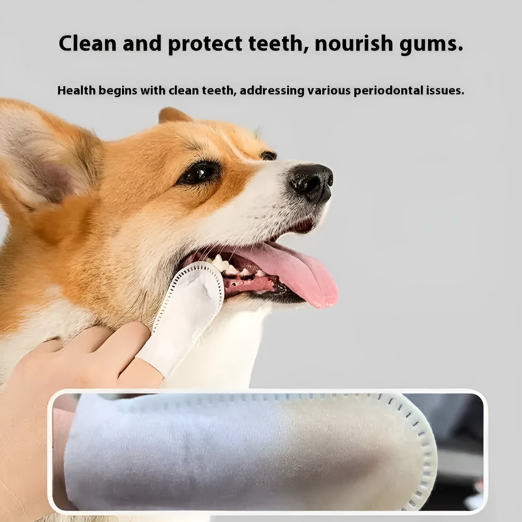 Pack of 50 white non-woven fabric finger stalls for pet dental cleaning