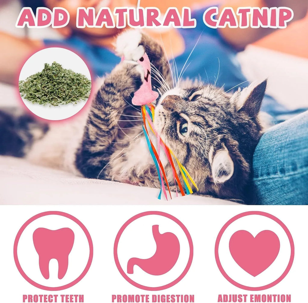 Cat wand toy with colourful ribbons, catnip fish attachment, and bell on wooden handle