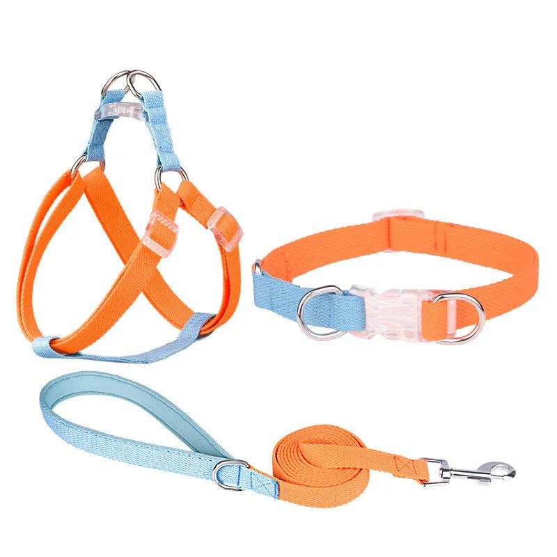 Polyester ribbon dog collar, lead, and chest strap set in a choice of five colour combinations
