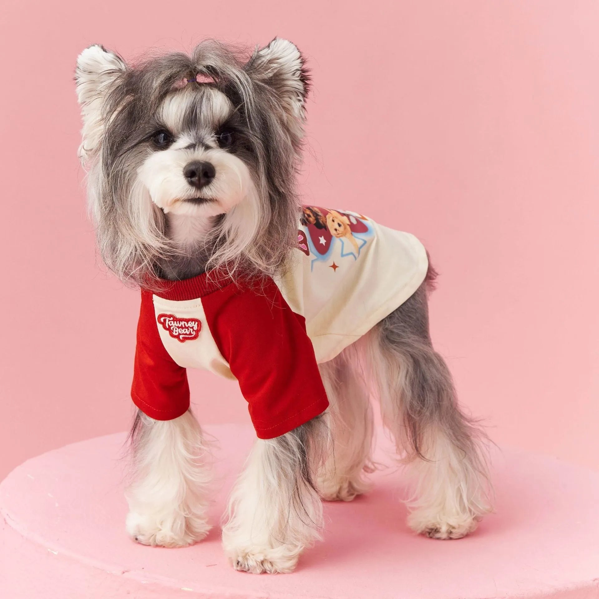 Summer dog clothes made of cotton in embroidered red, showing contrast colour details.