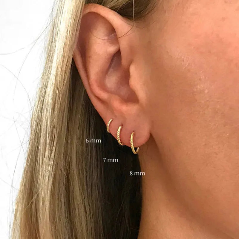 S925 sterling silver twisted string round ring geometric earrings for women on a white background.