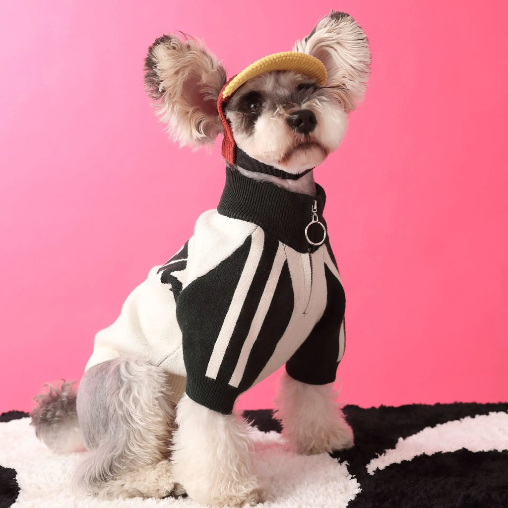 Red dog sports sweater cardigan on canine model showing wool fabric and front-opening design