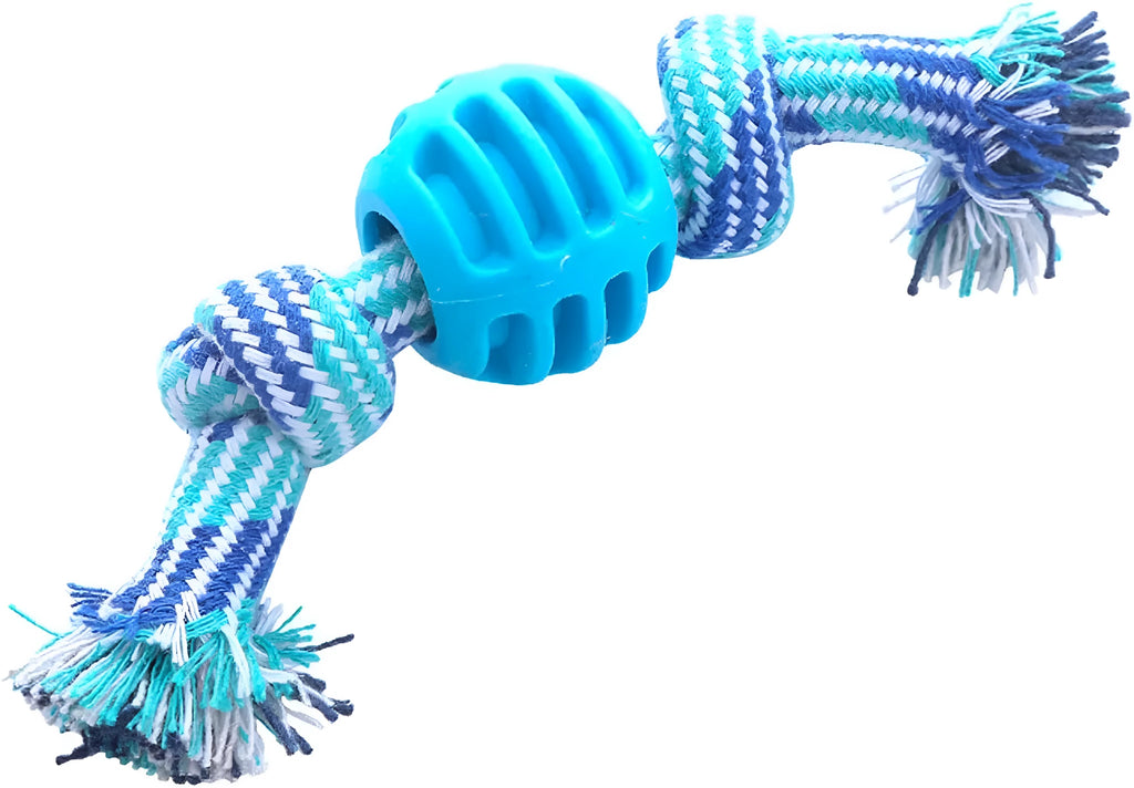 Blue molar-shaped dog chew toy with white ropes for teeth cleaning