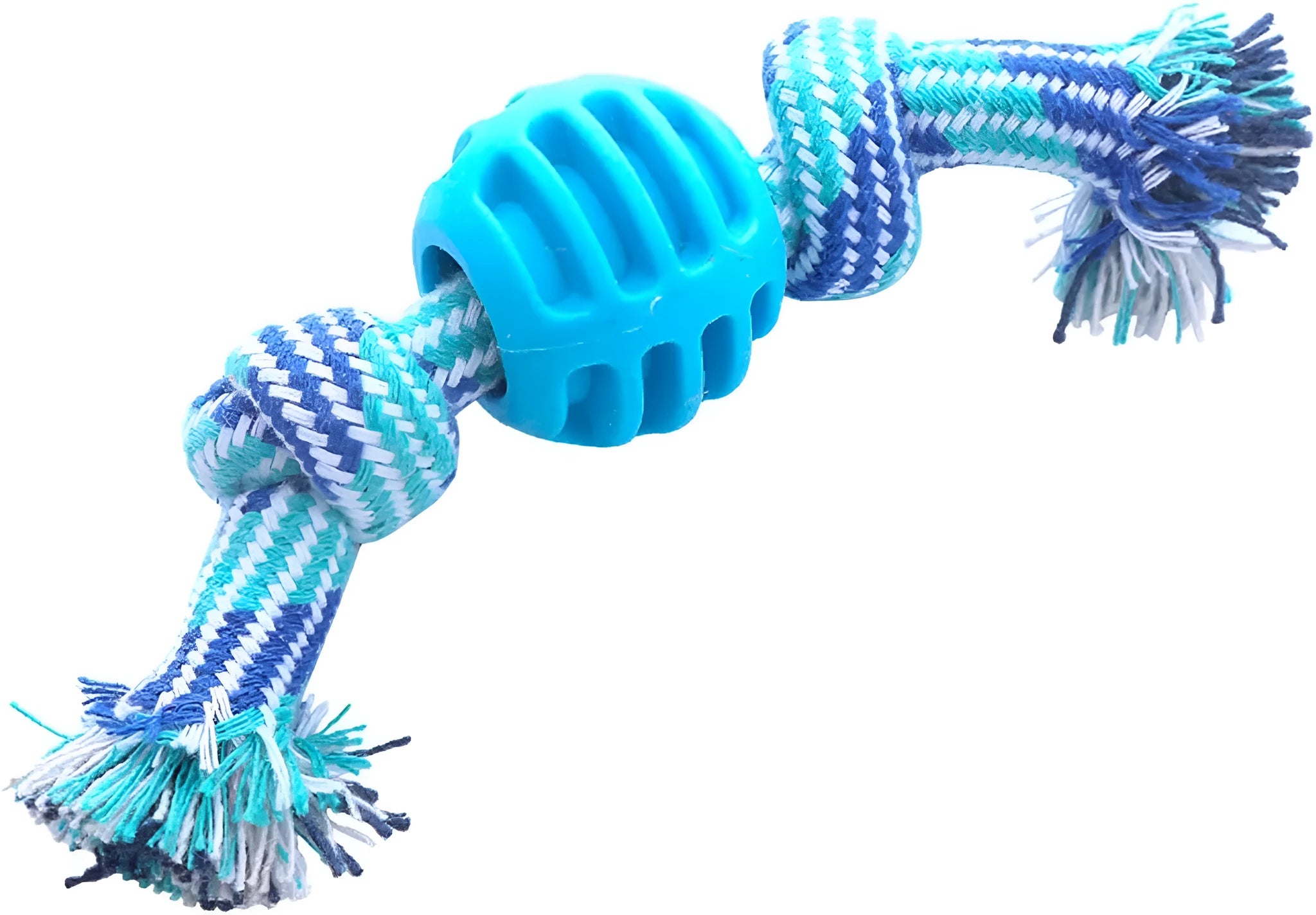 Blue molar-shaped dog chew toy with white ropes for teeth cleaning